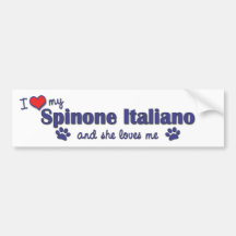I Love My Spinone Italiano (Female Dog) Bumper Stickers