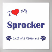 I Love My Sprocker (Female Dog) Poster