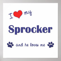 I Love My Sprocker (Male Dog) Poster