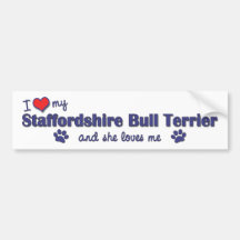 I Love My Staffordshire Bull Terrier (Female Dog) Bumper Stickers