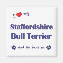 I Love My Staffordshire Bull Terrier (Female Dog) Magnet