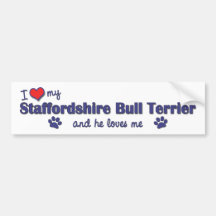 I Love My Staffordshire Bull Terrier (Male Dog) Bumper Sticker