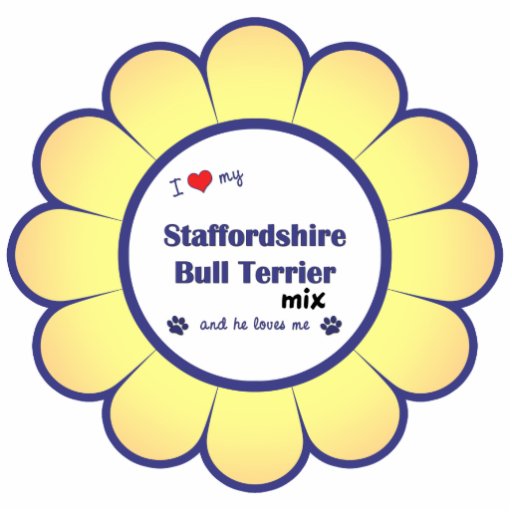 I Love My Staffordshire Bull Terrier Mix (Male) Cut Outs