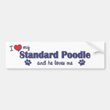 I Love My Standard Poodle (Male Dog) Bumper Stickers