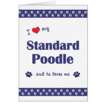 I Love My Standard Poodle (Male Dog) Cards