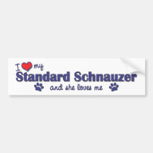 I Love My Standard Schnauzer (Female Dog) Bumper Sticker