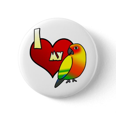 I Love my Sun Conure Pins by MenagerieMayhem