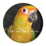 I love my Sun Conure magnet