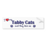 I Love My Tabby Cats (Multiple Cats) bumper stickers