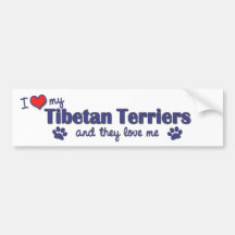 I Love My Tibetan Terriers (Multiple Dogs) Bumper Sticker
