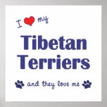 I Love My Tibetan Terriers (Multiple Dogs) posters