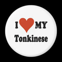 I Love My Tonkinese Cat magnets