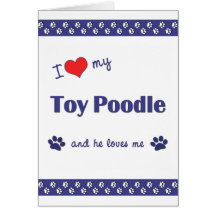 I Love My Toy Poodle (Male Dog) Cards