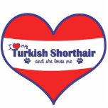 I Love My Turkish Shorthair (Female Cat) photo sculptures
