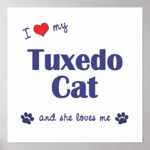 I Love My Tuxedo Cat (Female Cat) Posters