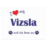 I Love My Vizsla (Female Dog) Post Card