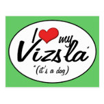 I Love My Vizsla (It's a Dog) Post Card