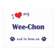 I Love My Wee-Chon (Male Dog) Post Card