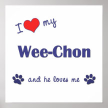 I Love My Wee-Chon (Male Dog) Poster Print