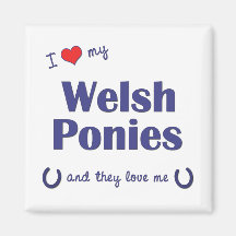 I Love My Welsh Ponies (Multiple Ponies) Fridge Magnet