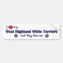 I Love My West Highland White Terrier (Multi Dogs) Bumper Sticker