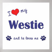 I Love My Westie (Male Dog) Print