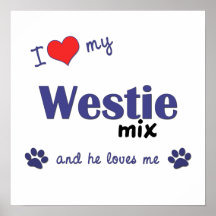 I Love My Westie Mix (Male Dog) Poster Print