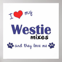 I Love My Westie Mixes (Multi Dogs) Poster Print