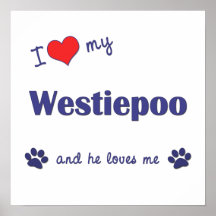I Love My Westiepoo (Male Dog) Poster Print