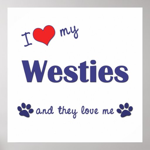 I Love My Westies (Multiple Dogs) Posters