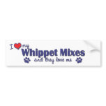 I Love My Whippet Mixes (Multiple Dogs) bumper stickers