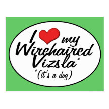 I Love My Wirehaired Vizsla (It's a Dog) Post Card