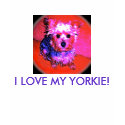 I LOVE MY YORKIE! (pink & blue series) T-Shirt