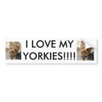 I LOVE MY YORKIES!!!! BUMPER STICKERS