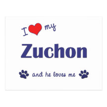I Love My Zuchon (Male Dog) Post Cards