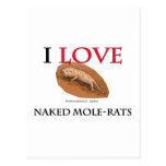 I Love Naked Mole-Rats Postcard