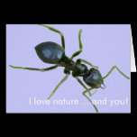 I love nature .... and you cards