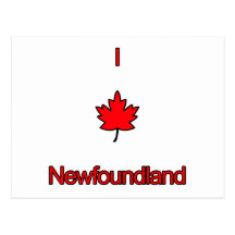 I Love Newfoundland Postcard