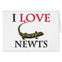 I Love Newts Cards