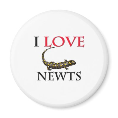 I Love Newts Fridge Magnet by tshirtshirts