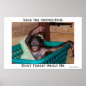 I Love Orangutans posters