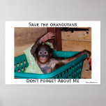 I Love Orangutans posters