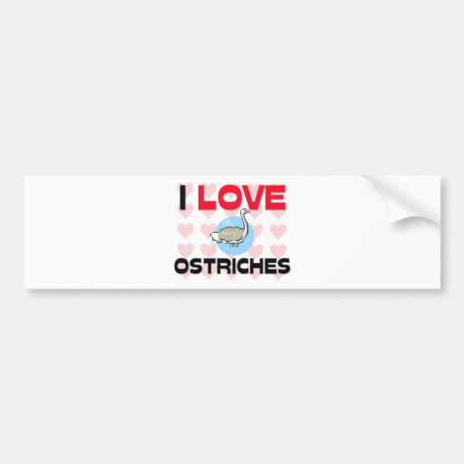 I Love Ostriches Bumper Sticker