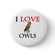 I Love Owls Pin