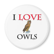 I Love Owls magnets