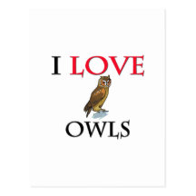 I Love Owls Post Card