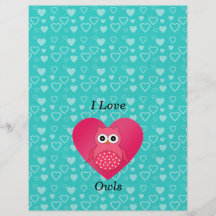 I love owls turquoise hearts flyer