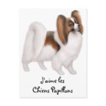 I Love Papillon Dogs in French Postcard