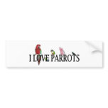 I Love Parrots bumper stickers