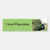 I love Peacocks Bumper Sticker